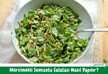 Mercimekli Semizotu Salatası Tarifi – Nasıl Yapılır? Mercimekli Semizotu Salatası Tarifi - Nasıl Yapılır