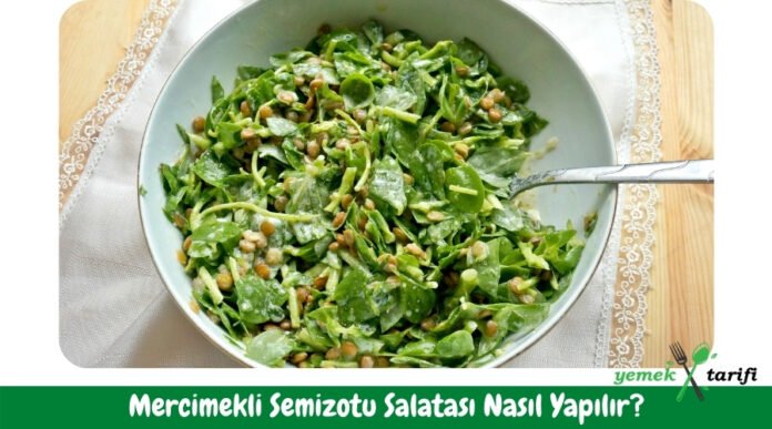 Mercimekli Semizotu Salatası Tarifi - Nasıl Yapılır