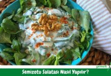 Semizotu Salatası Tarifi – Nasıl Yapılır? Semizotu Salatası Tarifi - Nasıl Yapılır