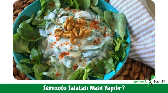 Semizotu Salatası Tarifi - Nasıl Yapılır